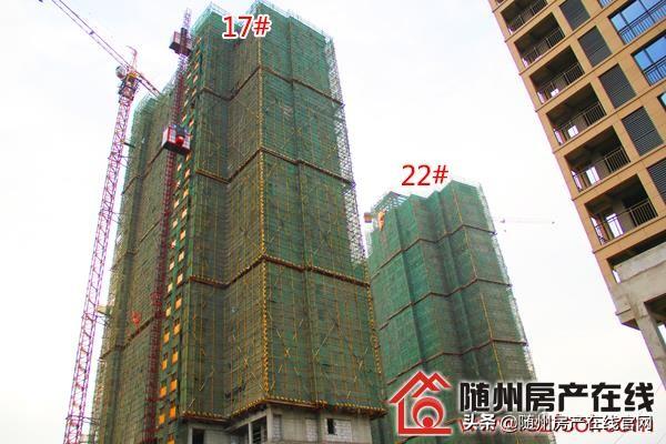 随州楼盘最新房价，科技引领居住革新，前沿体验塑造未来居住梦想