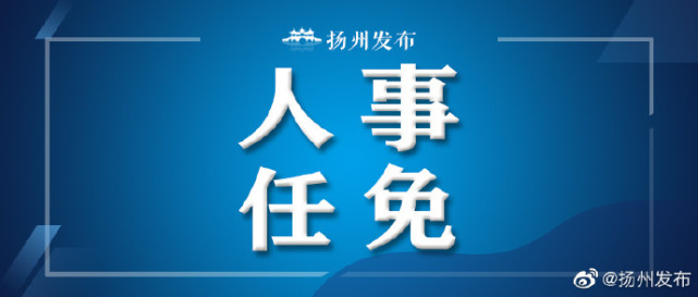 高邮最新人事任免背后的故事与温情揭晓