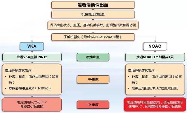 最新房颤指南下的心灵之旅，与自然美景相遇，探寻内心平静与节奏