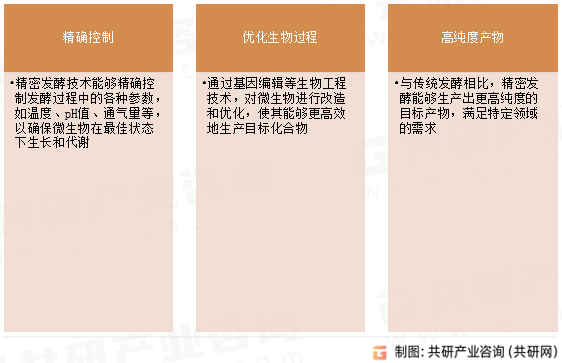 2024新澳门6合彩官方网,深入研究执行计划_跨界版95.298