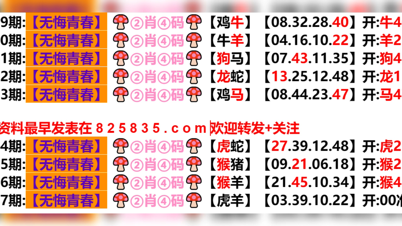 关于我们 第15页