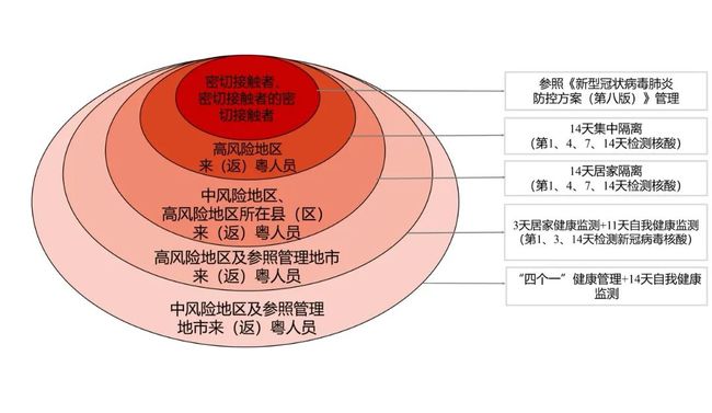 新粤门六舍彩资料正版,创新发展策略_铂金版38.258