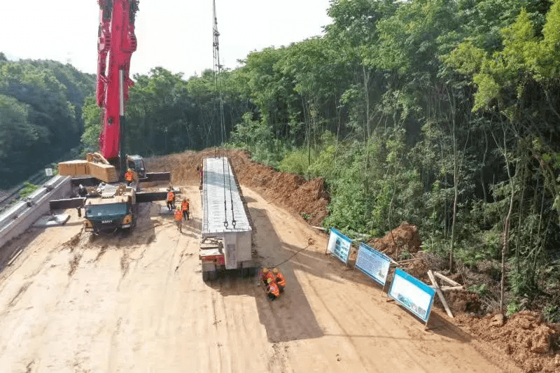 森林大道改造最新进度，变化中的道路与成长中的城市印记