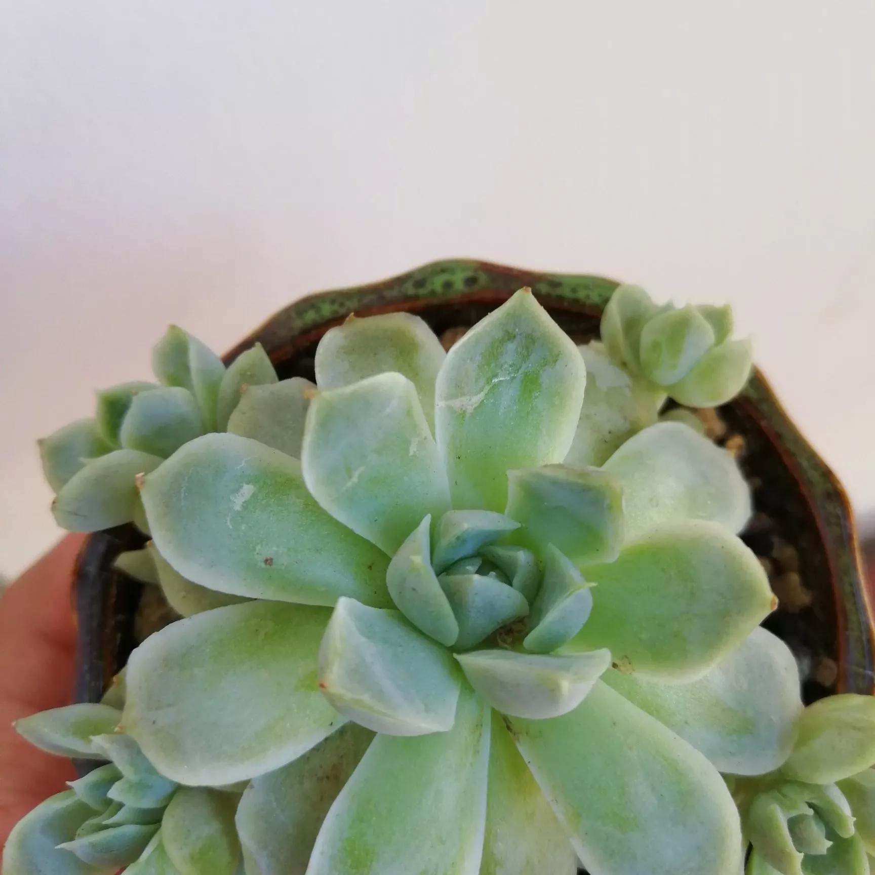 最新气温下降信息更新