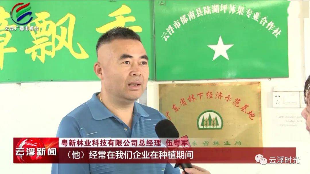 最新哨向文步骤指南，详细步骤与操作指南