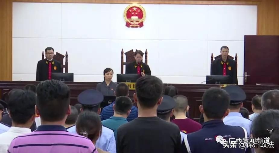 龙爱量子最新动态揭秘，小巷中的神秘量子小店进展更新