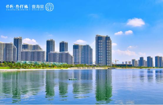 保利三千栋最新动态揭秘，学习变化的力量，成就自信与梦想之路