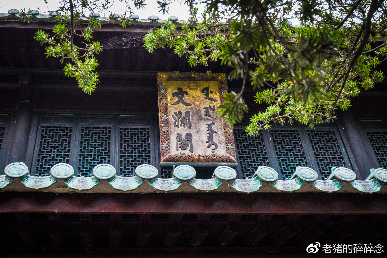 文心阁最新地址揭秘，自然美景之旅，探寻内心宁静之地