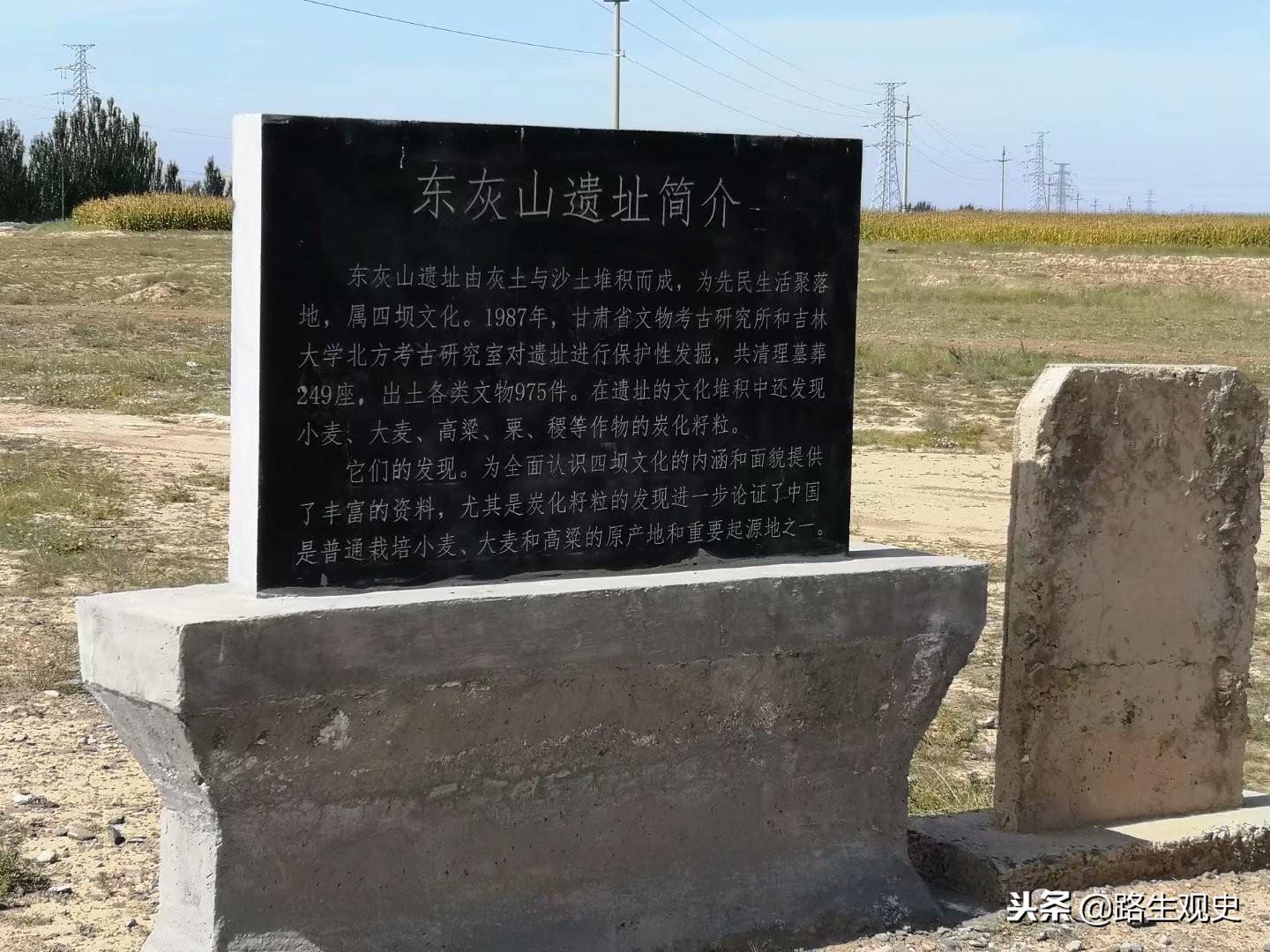 甘肃啤酒大麦最新价格，时代见证与市场的脉动
