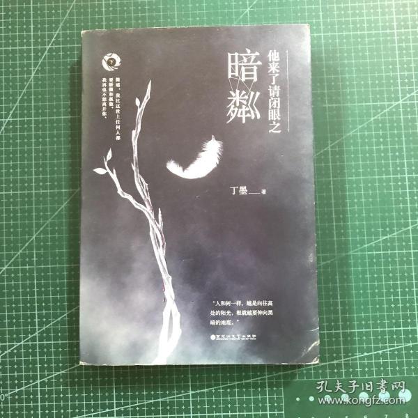 丁墨最新小说半遮面，小巷深处的神秘特色小店探秘