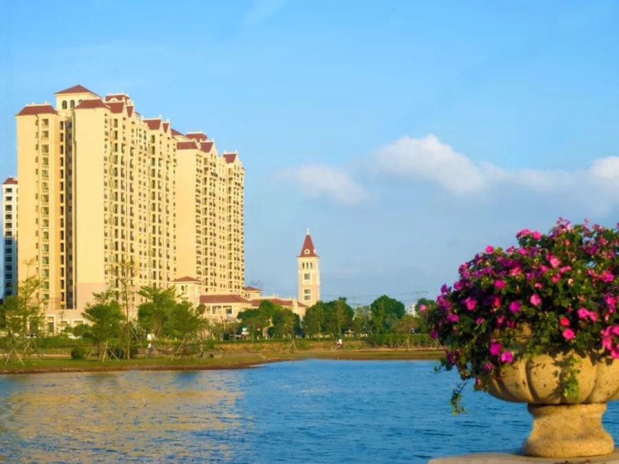 坦洲国际花城最新房价揭秘与趋势分析🌼🏡