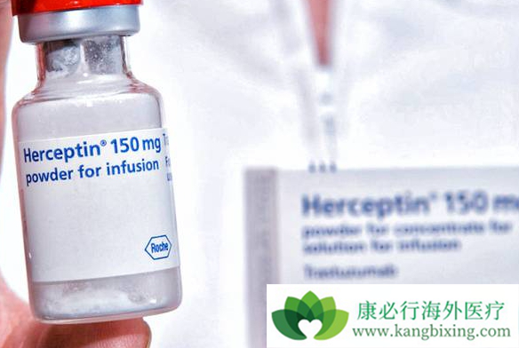 香港赫赛汀最新价格，时代背景下的药物变迁与价格变动
