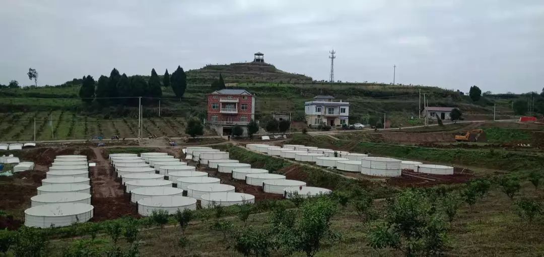 资中吧最新动态，学习之光引领未来旅程，自信与成就感的绽放
